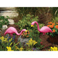 Bloem G2 Garden Statue, Flamingo, Plastic, Pink
