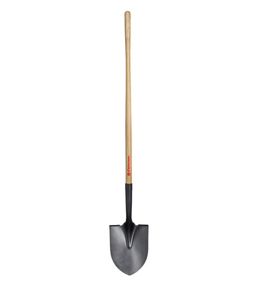 Corona #2 Shovel Hollow-Back with Wood Handle Round Point