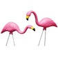 Bloem G2 Garden Statue, Flamingo, Plastic, Pink