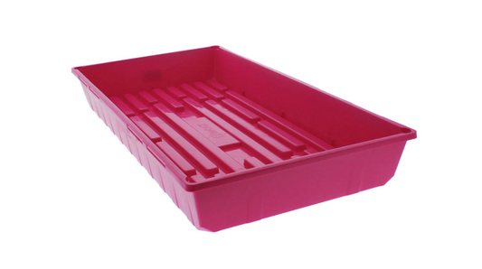 Mega Tray Purple