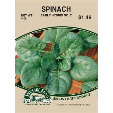 Spinach 4 oz Wetsel Seed