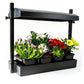 Sunblaster Micro T5 Grow Light Garden, Black